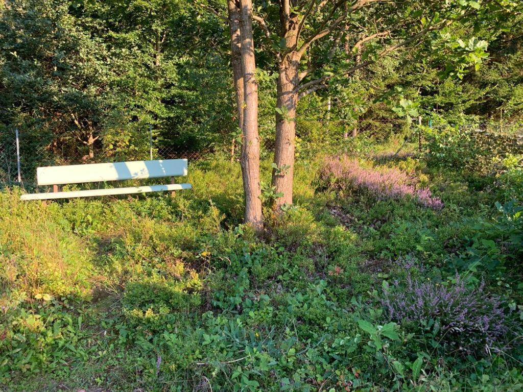Gaestehaus Hochrhoenblick Schönau an der Brend Extérieur photo